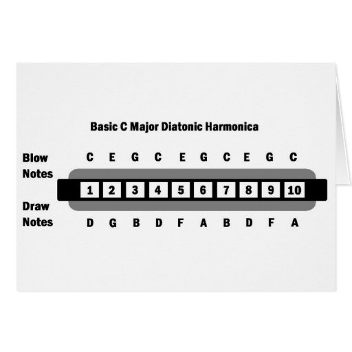 Basic C Major Diatonic Harmonica Cards Zazzle