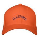 Basic Flexfit Wool Illinois Cap Embroidered Hat