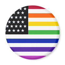Basic Gay US Flag Crop