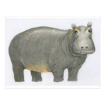 Basic Hippo Postcard