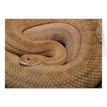 Basilisk Rattlesnake Card