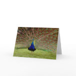 Bask in all your Glory cards