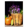 Basket of Asters With Pumpkin and Gourd