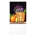 Basket of Asters With Pumpkin and Gourd photo cards