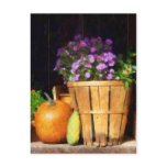 Basket of Asters With Pumpkin and Gourd