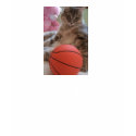 Basketball dreams, Boys tee t-shirts