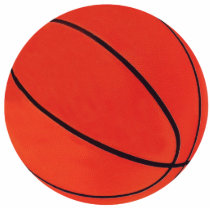 Basketball Photo Sculpture