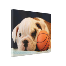 "Basketball Puppy" English Bulldog Stretched Canvas Print