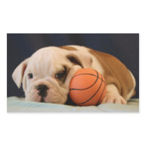 Basketball Puppy English Bulldog Rectangle Stickers