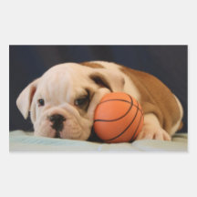 Basketball Puppy English Bulldog Rectangle Stickers
