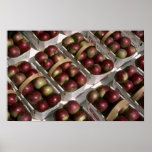 Baskets of apples poster