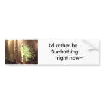 Basking in the Morning Rays Bumper Stickers