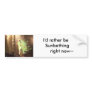 Basking in the Morning Rays Bumper Stickers