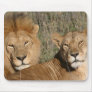 Basking in the Sun - Mousepad
