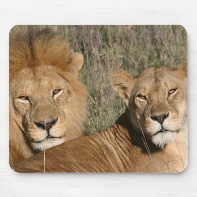 Basking in the Sun - Mousepad by dchaddad