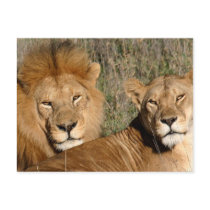 Basking in the Sun - Postcard