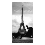 Basking photo cards