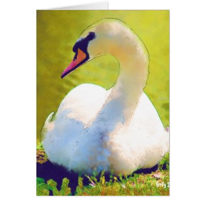Basking Swan Greeting Cards by mrsmas