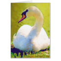 Basking Swan cards