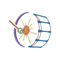 Bass Drum