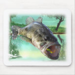 bass fish green