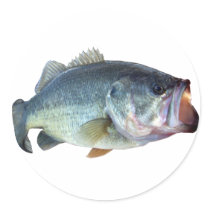 Bass Fish Round Stickers