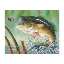 bass, fishing