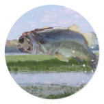 Bass gag pic stickers
