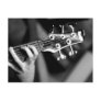 bass guitar post card