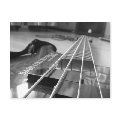 Bass in Black Postcards by nightsoflondon
