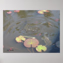 Bass in Pond posters