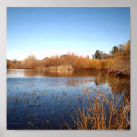 Bass Pond One Posters