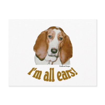 Basset Ears Post Cards by RickBasset