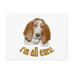 Basset Ears postcards