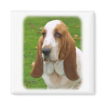 Basset Hound 8K92D-07_2 Refrigerator Magnet