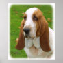 Basset Hound 8K92D-07_2 Print