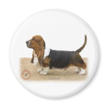 Basset Hound 9J051D-05 Refrigerator Magnets