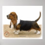 Basset Hound 9J051D-05 Print