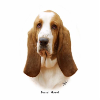Basset Hound 9J055D-18 Photo Cut Outs by TraffordPhotos