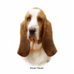 Basset Hound 9J055D-18 photo sculptures
