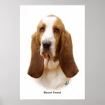 Basset Hound 9J055D-18 Poster