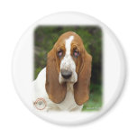 Basset Hound 9L9D-05_2 Magnets