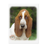 Basset Hound 9L9D-05_2 Post Cards