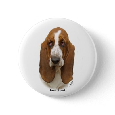 Basset Hound 9L9D-05 Pins by TraffordPhotos
