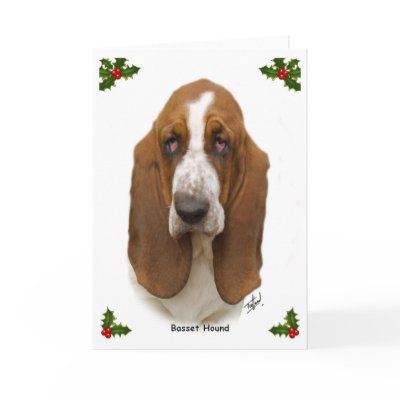 Basset Hound 9L9D-05 by mtrafford