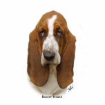 Basset Hound 9L9D-05 Photo Cutouts