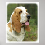Basset Hound 9P013D-14_2 Poster