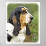Basset Hound 9P013D-41_2 Posters