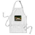 Basset Hound 9R037D-46 Apron