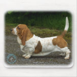 Basset Hound 9R037D-46 Mouse Mat